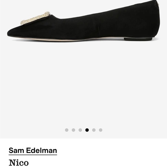 Sam Edelman Black Flats with Glittering Gold Accent - Picture 4 of 8